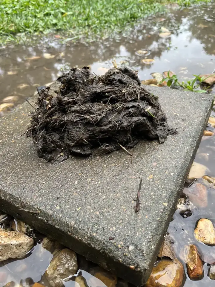 Pile of matted leaves and dirt removed from inside the outdoor unit, Covington