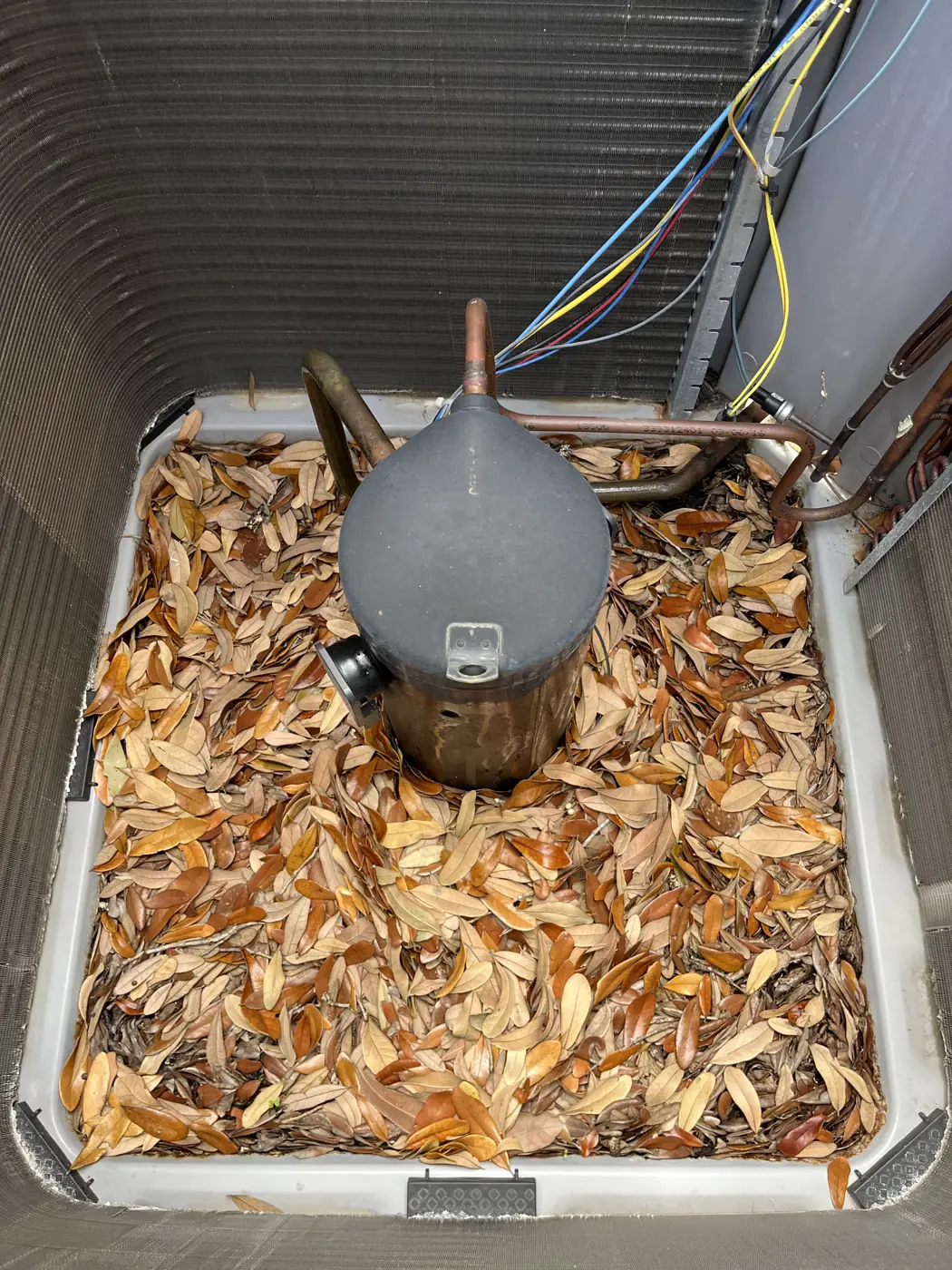 Inside of an outdoor unit filled with dry leaves around the compressor, Mandeville