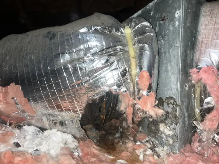 Attic supply duct torn open with insulation spilling out at the plenum, Slidell