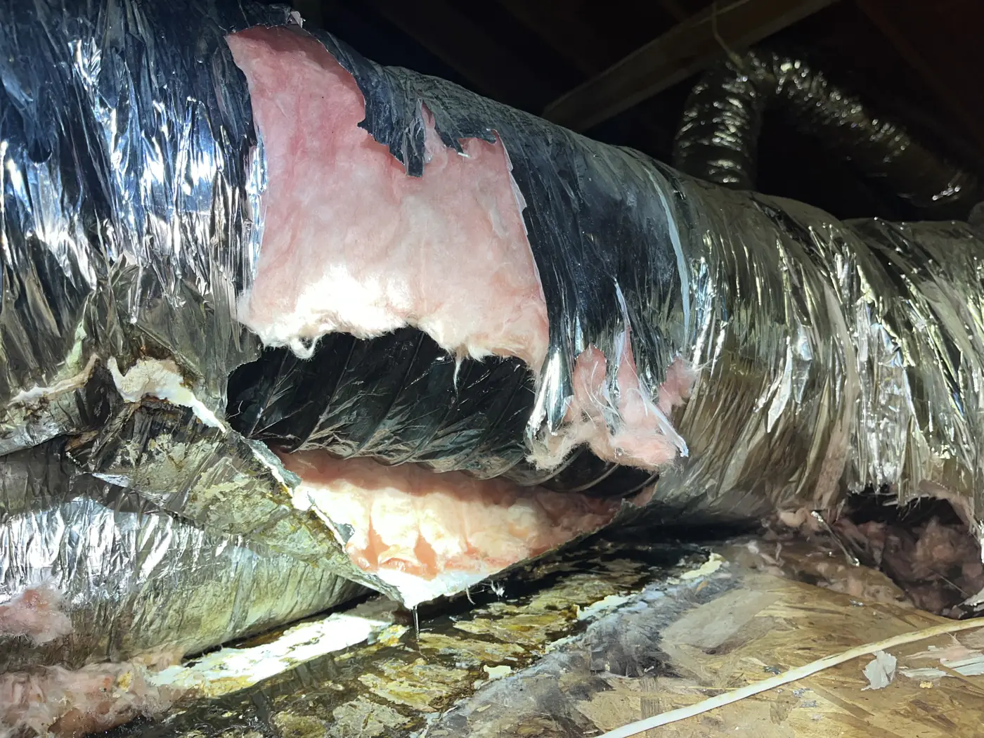 Flex duct torn open with pink insulation exposed in an attic, Metairie